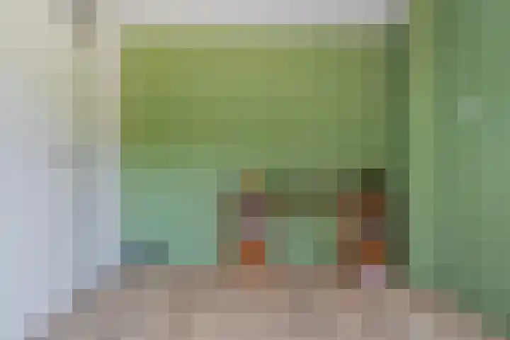 Laan van de Eekharst 159 Emmen thumbnail 38