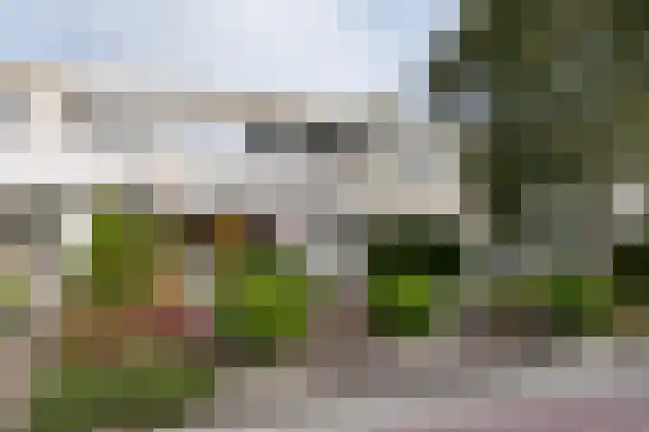 Laan van de Eekharst 159 Emmen thumbnail 4