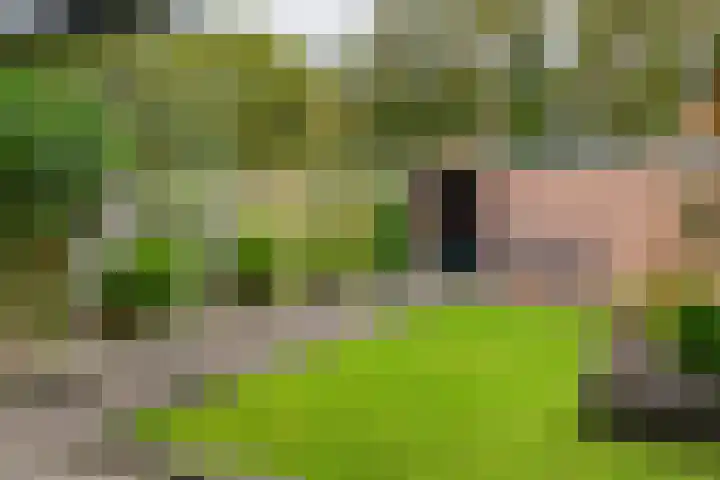 Laan van de Eekharst 159 Emmen thumbnail 42