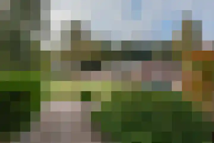 Laan van de Eekharst 159 Emmen thumbnail 6