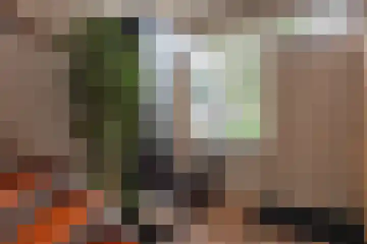 Laan van de Eekharst 159 Emmen thumbnail 8