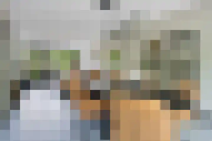 Laan van de Eekharst 19 Emmen thumbnail 10