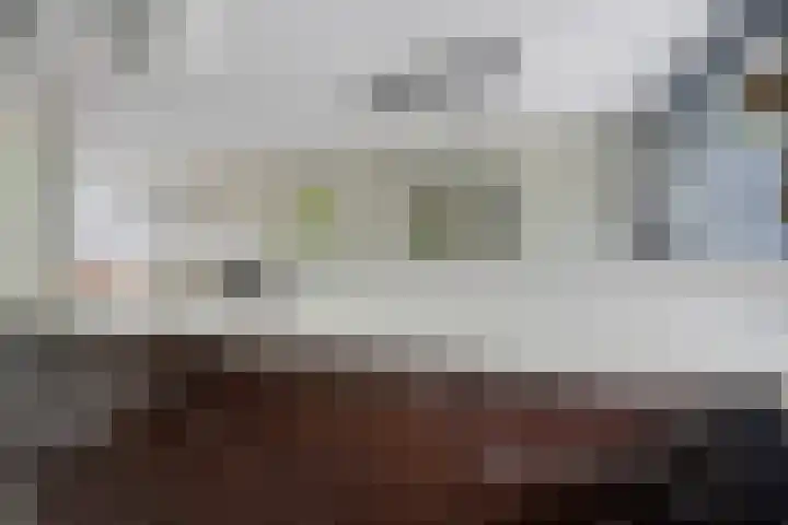 Laan van de Eekharst 19 Emmen thumbnail 13