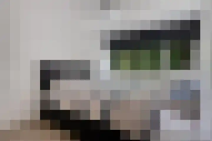 Laan van de Eekharst 19 Emmen thumbnail 18