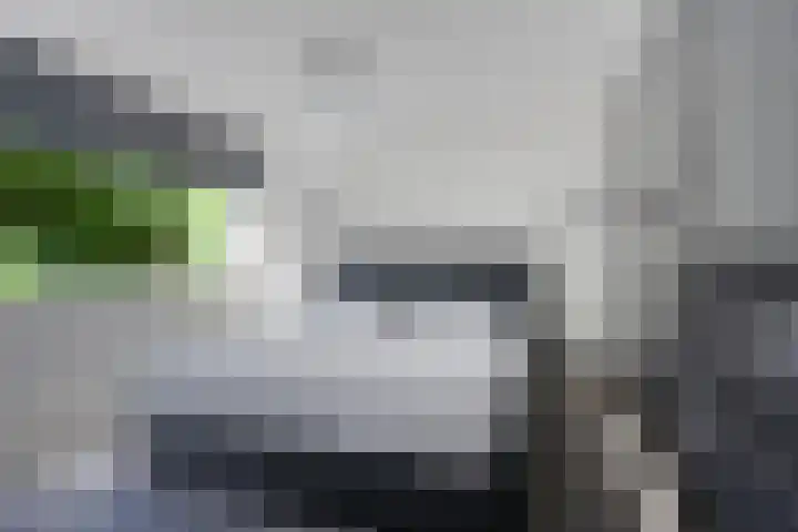 Laan van de Eekharst 19 Emmen thumbnail 20