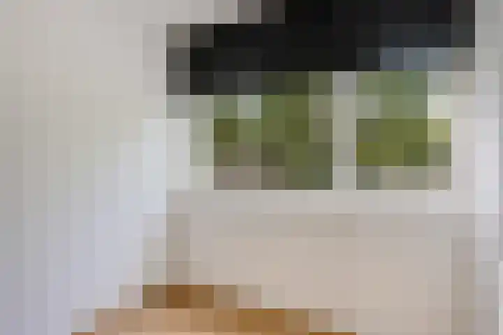 Laan van de Eekharst 19 Emmen thumbnail 22