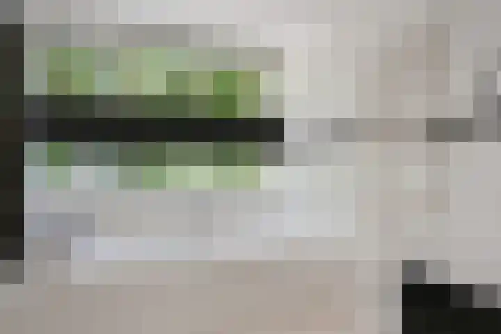 Laan van de Eekharst 19 Emmen thumbnail 24