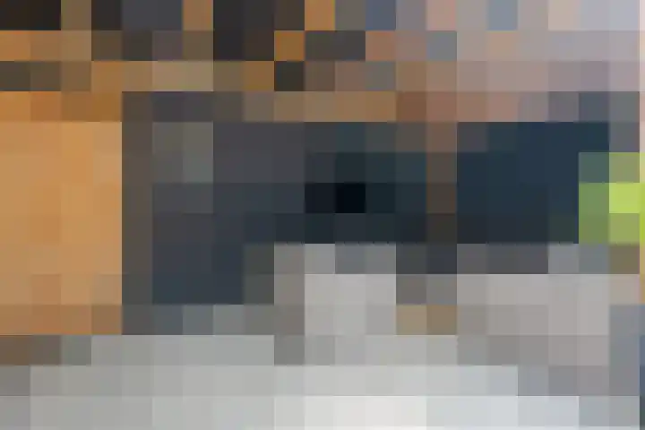 Laan van de Eekharst 19 Emmen thumbnail 32