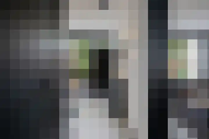 Laan van de Eekharst 19 Emmen thumbnail 4