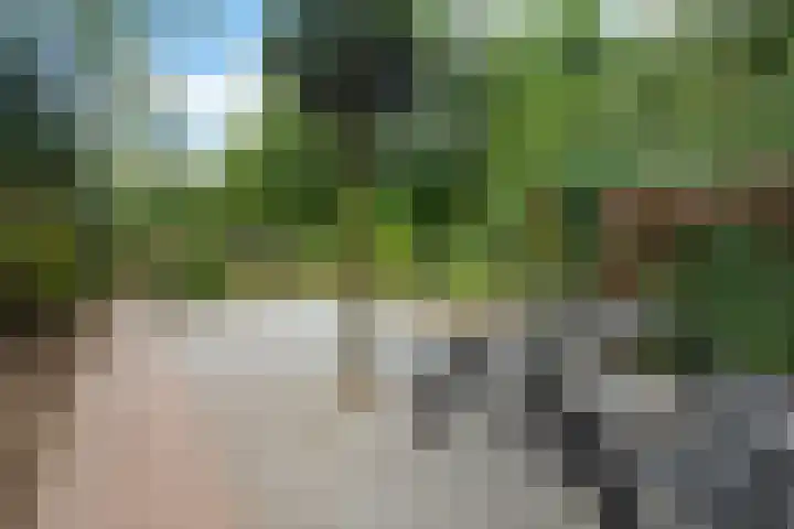 Laan van de Eekharst 19 Emmen thumbnail 41