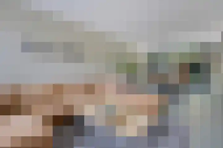 Laan van de Eekharst 19 Emmen thumbnail 7