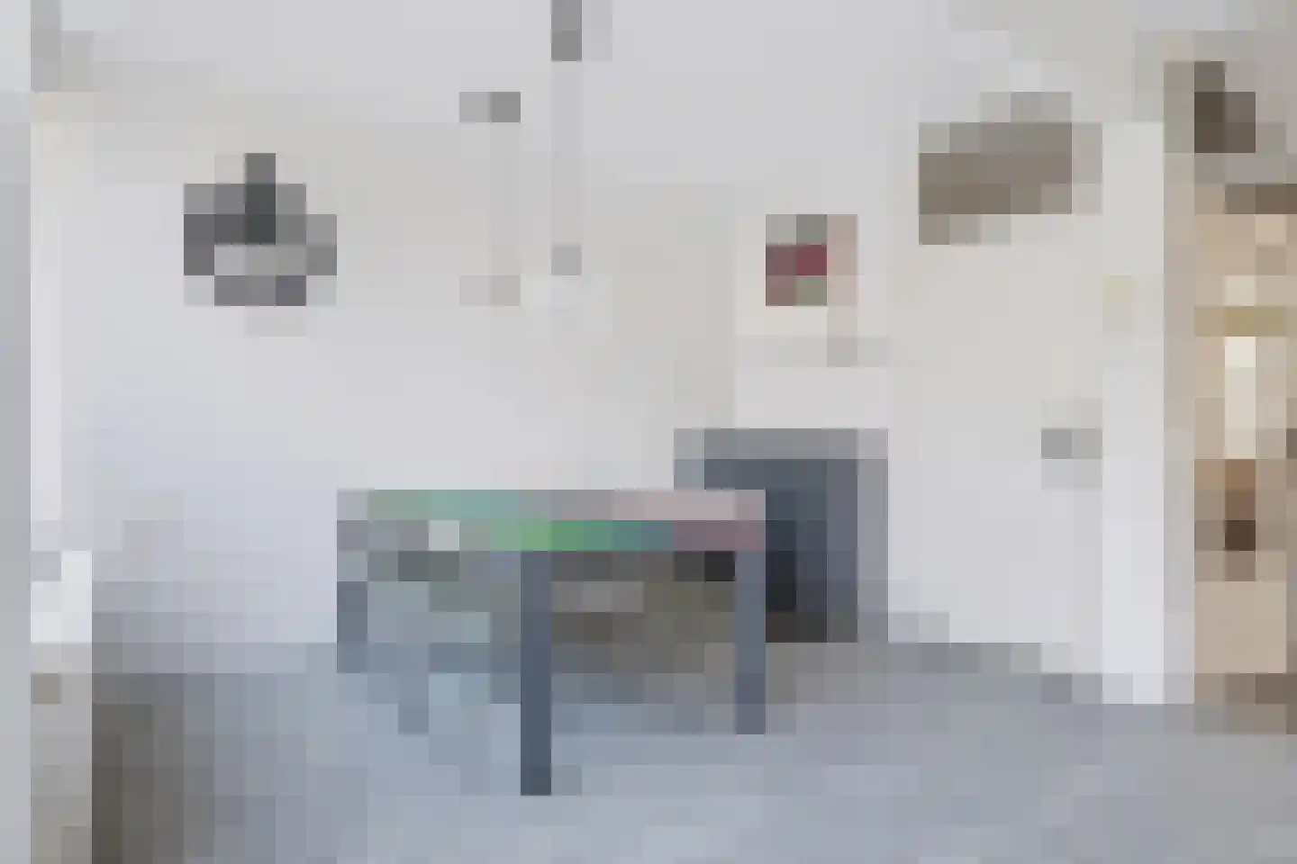 Laan van de Eekharst 241 Emmen thumbnail 10