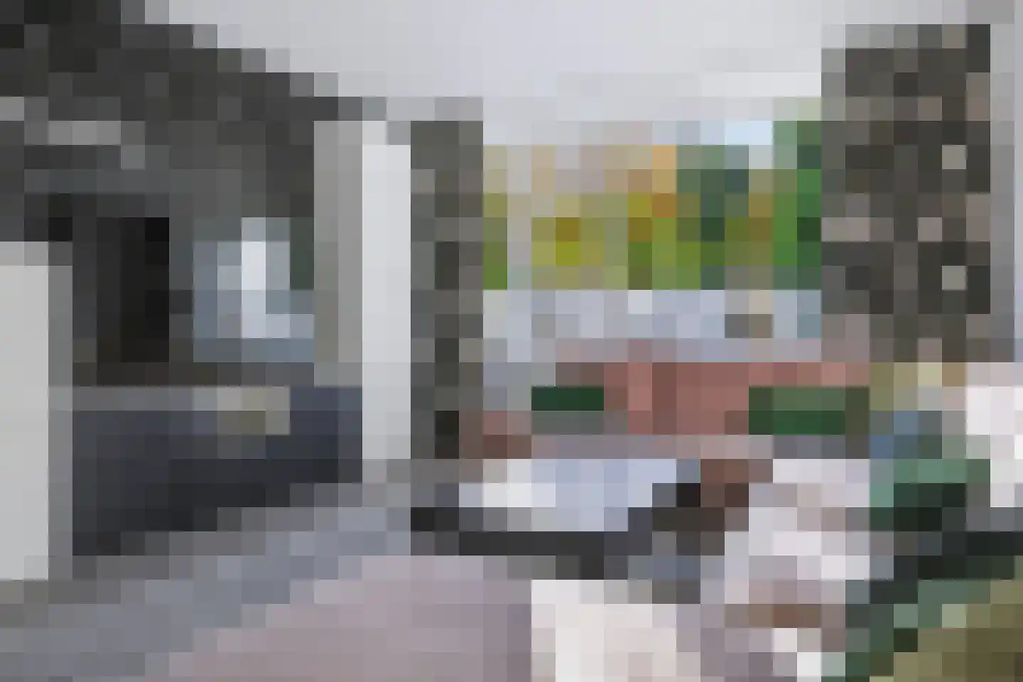Laan van de Eekharst 241 Emmen thumbnail 12