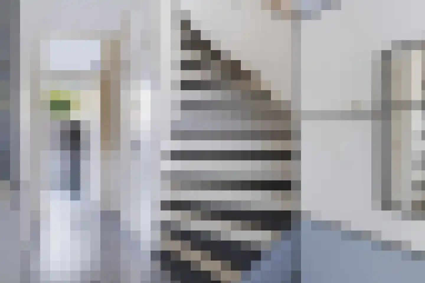 Laan van de Eekharst 241 Emmen thumbnail 14