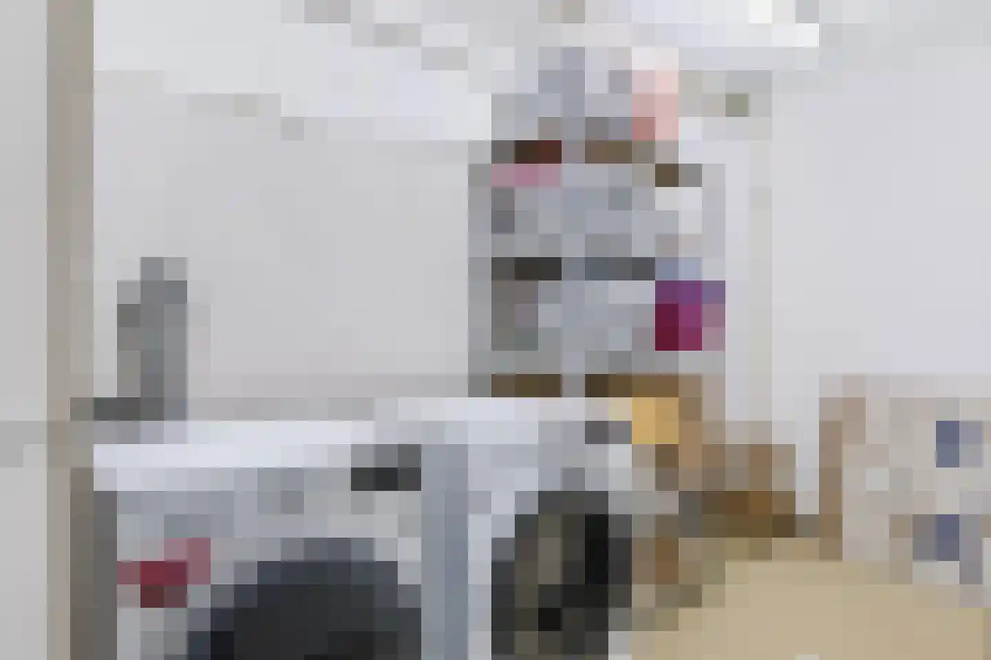 Laan van de Eekharst 241 Emmen thumbnail 19