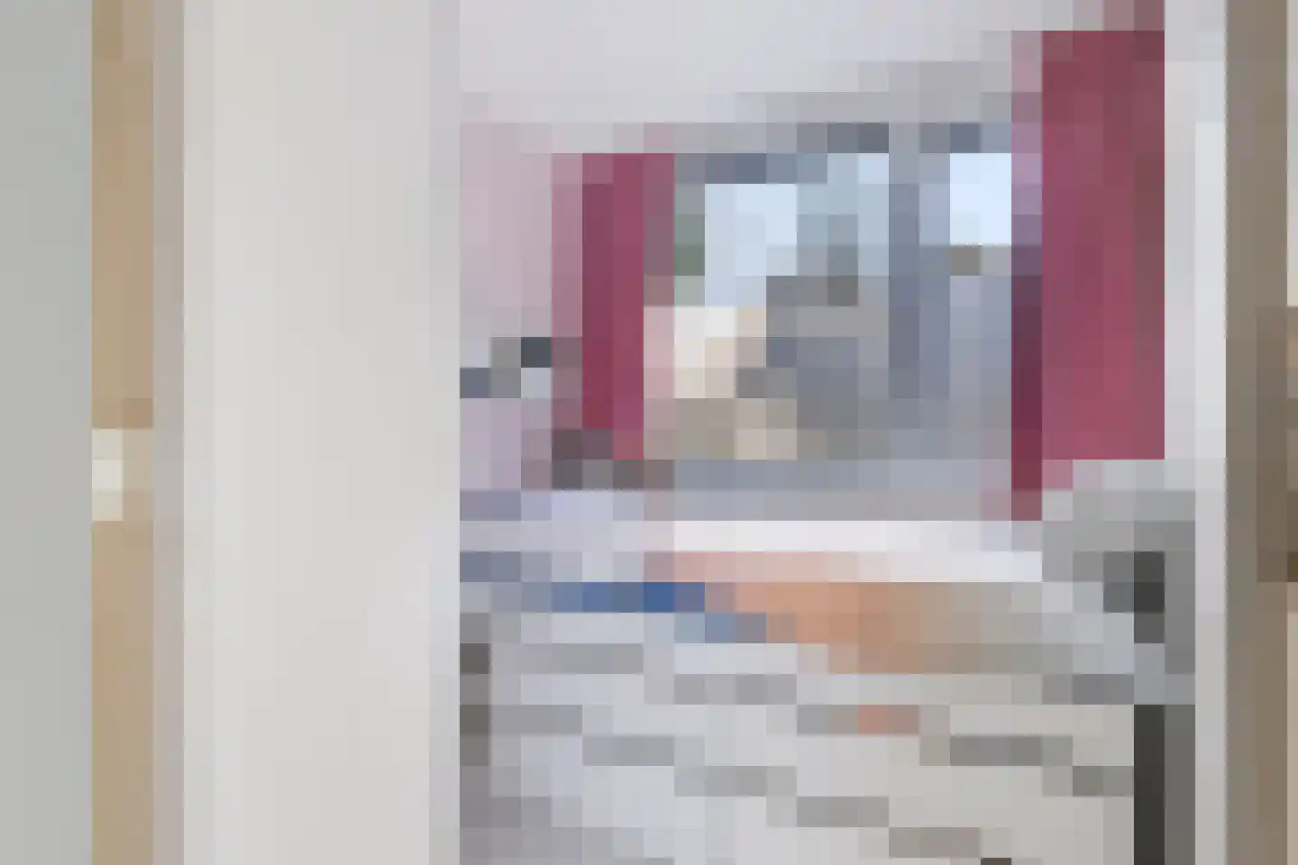 Laan van de Eekharst 241 Emmen thumbnail 21