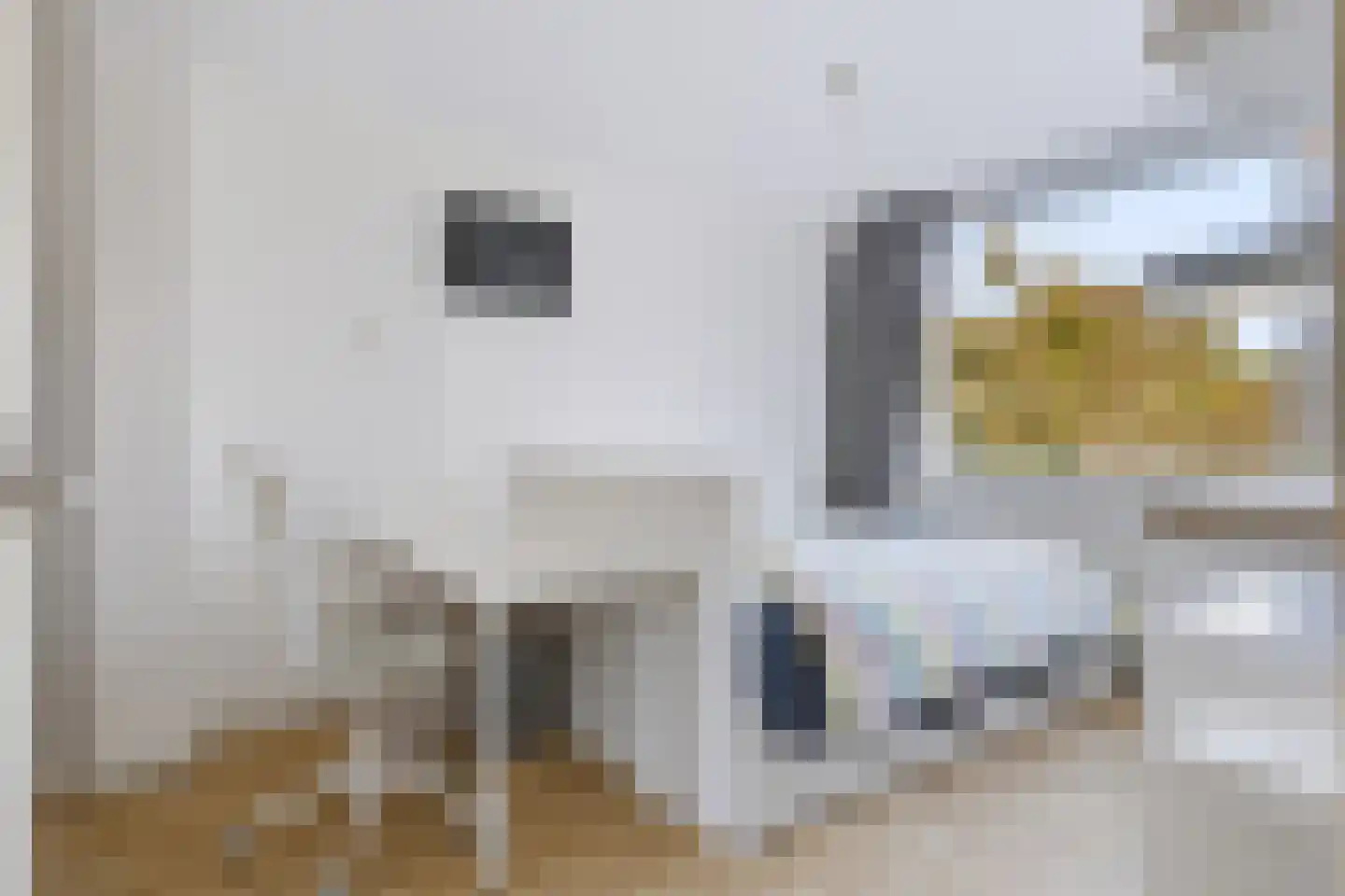 Laan van de Eekharst 241 Emmen thumbnail 22