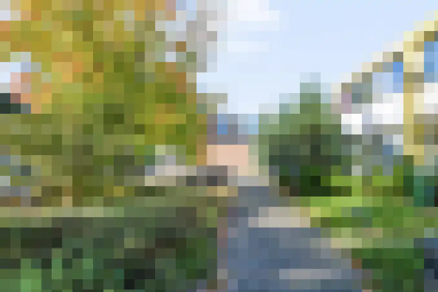 Laan van de Eekharst 241 Emmen thumbnail 32