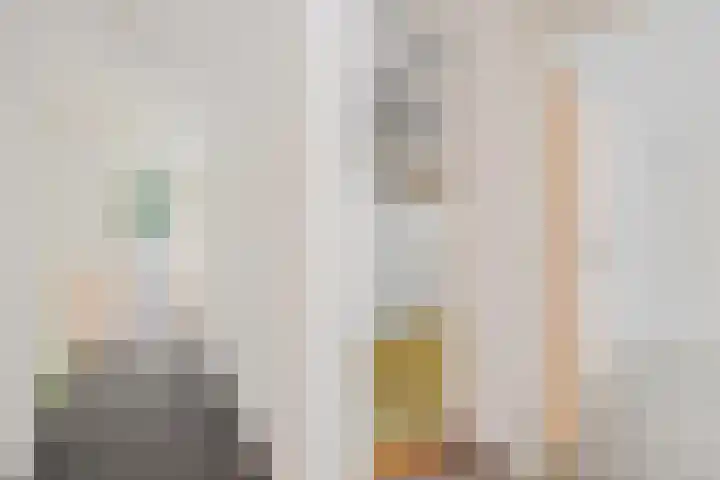 Laan van de Eekharst 37 Emmen thumbnail 18