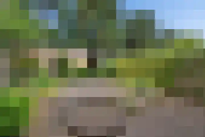 Laan van de Eekharst 37 Emmen thumbnail 19