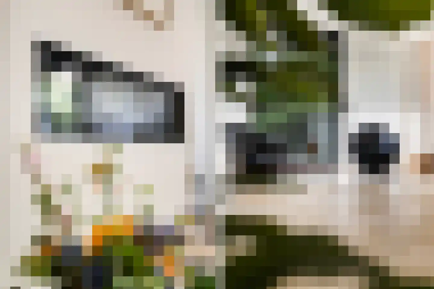 Laan van de Eekharst 42 Emmen thumbnail 21