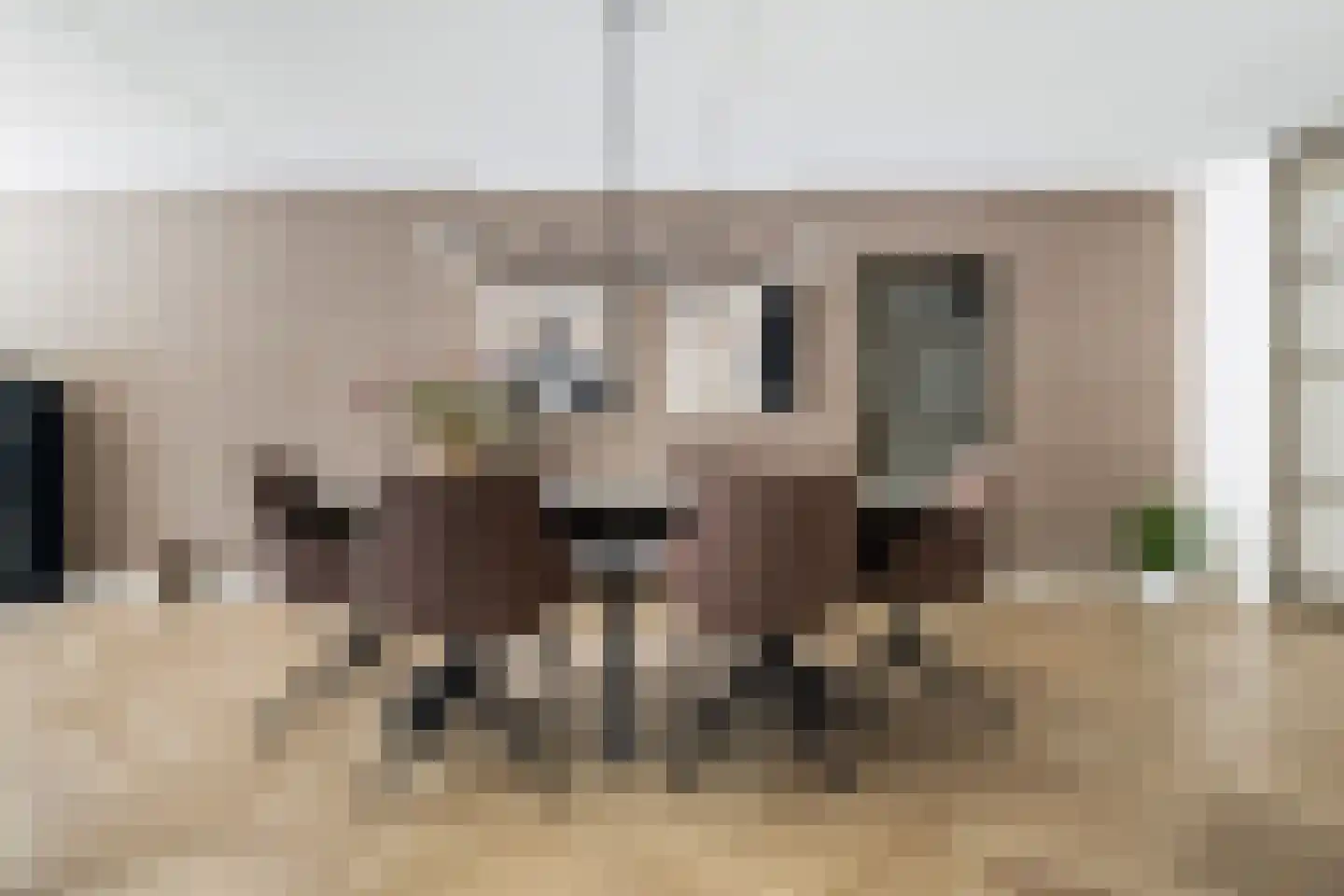 Laan van de Eekharst 42 Emmen thumbnail 26