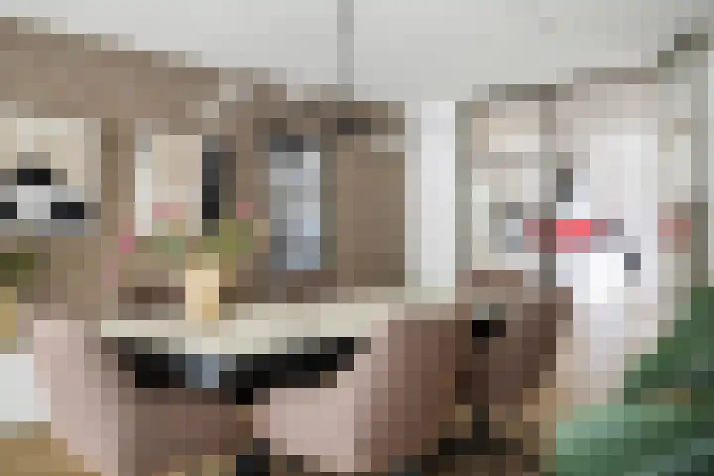 Laan van de Eekharst 42 Emmen thumbnail 27