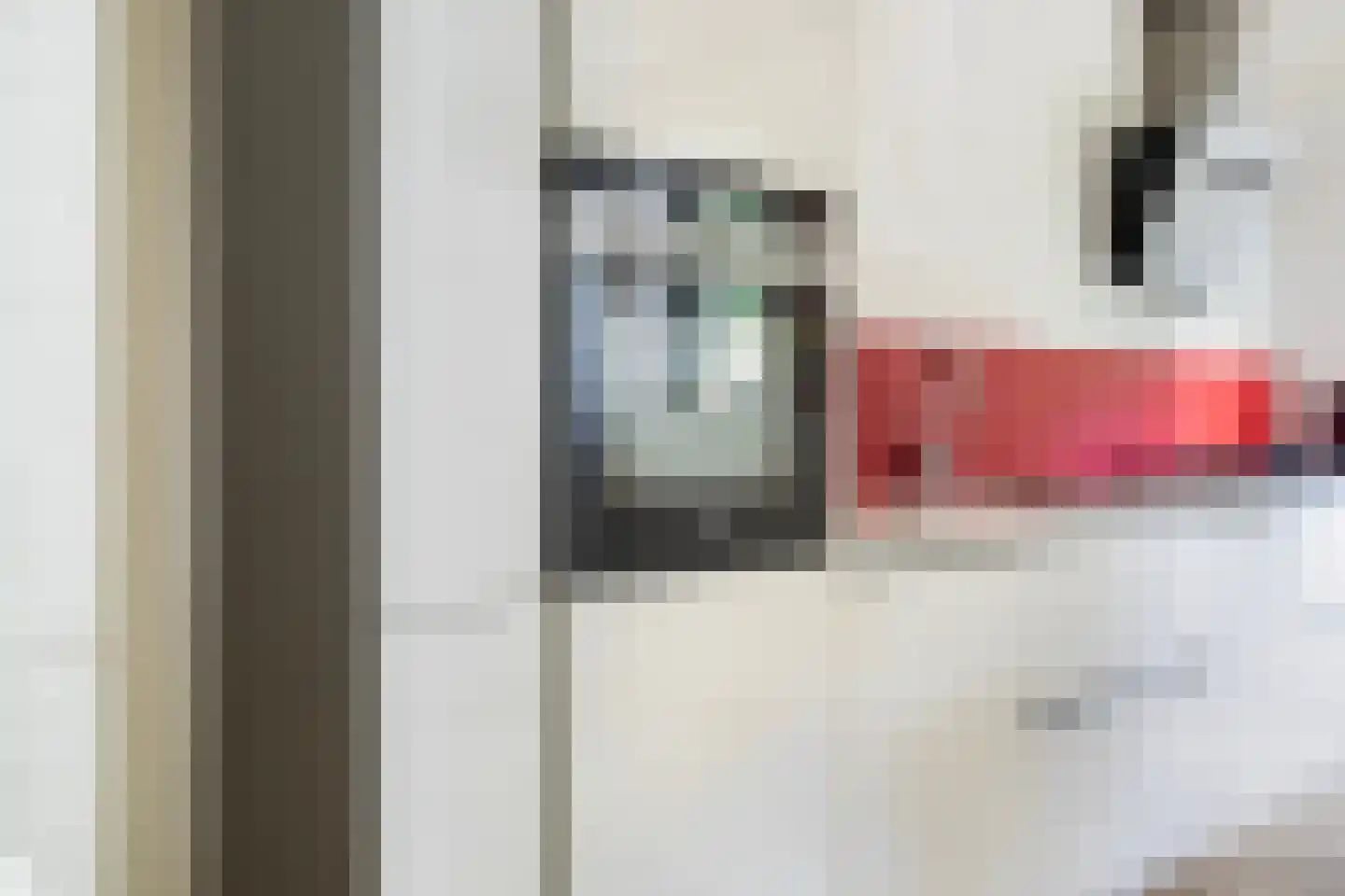 Laan van de Eekharst 42 Emmen thumbnail 29