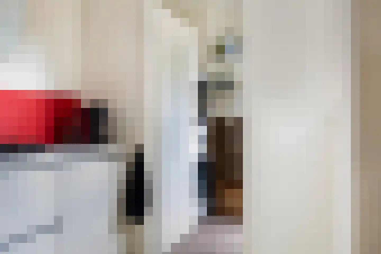 Laan van de Eekharst 42 Emmen thumbnail 31