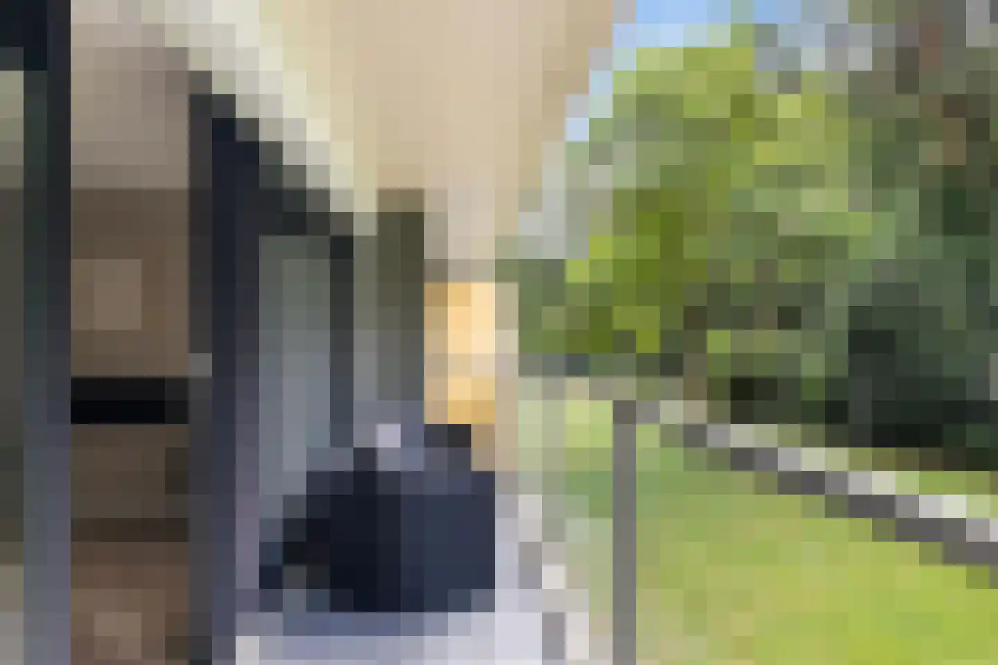 Laan van de Eekharst 42 Emmen thumbnail 33