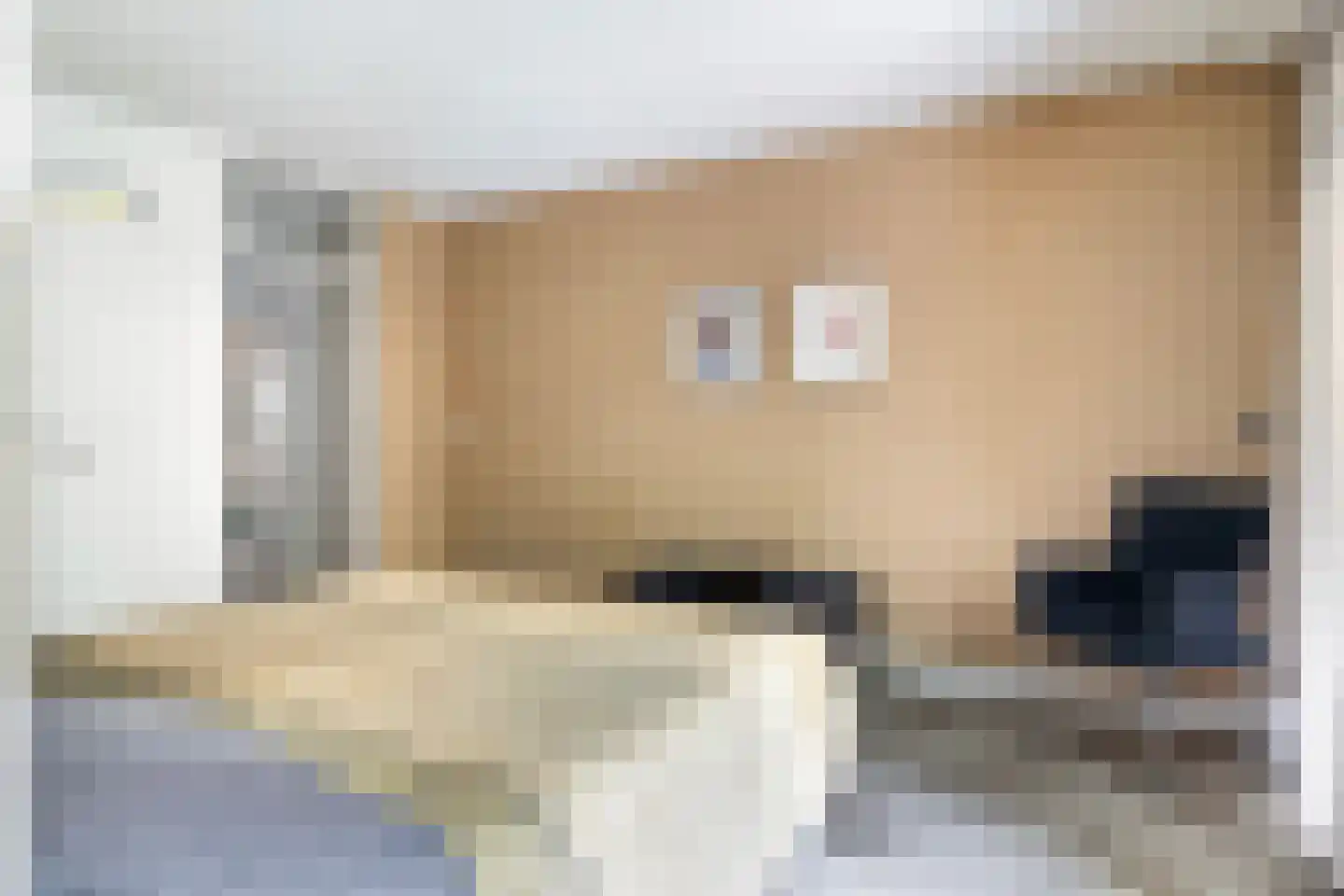 Laan van de Eekharst 42 Emmen thumbnail 42