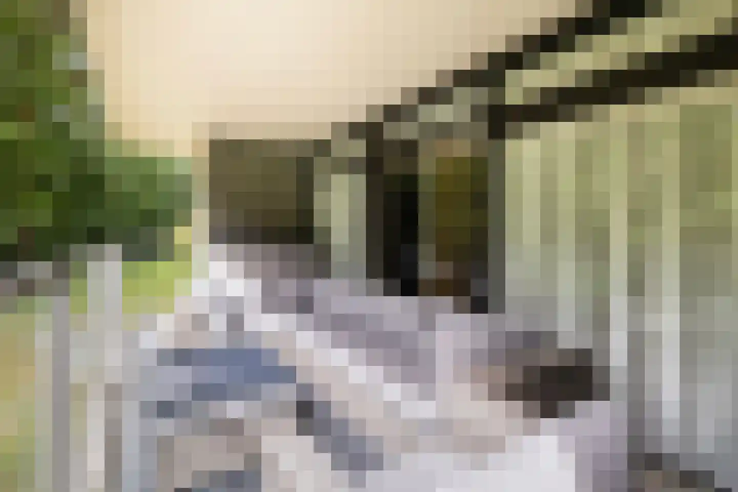 Laan van de Eekharst 42 Emmen thumbnail 44