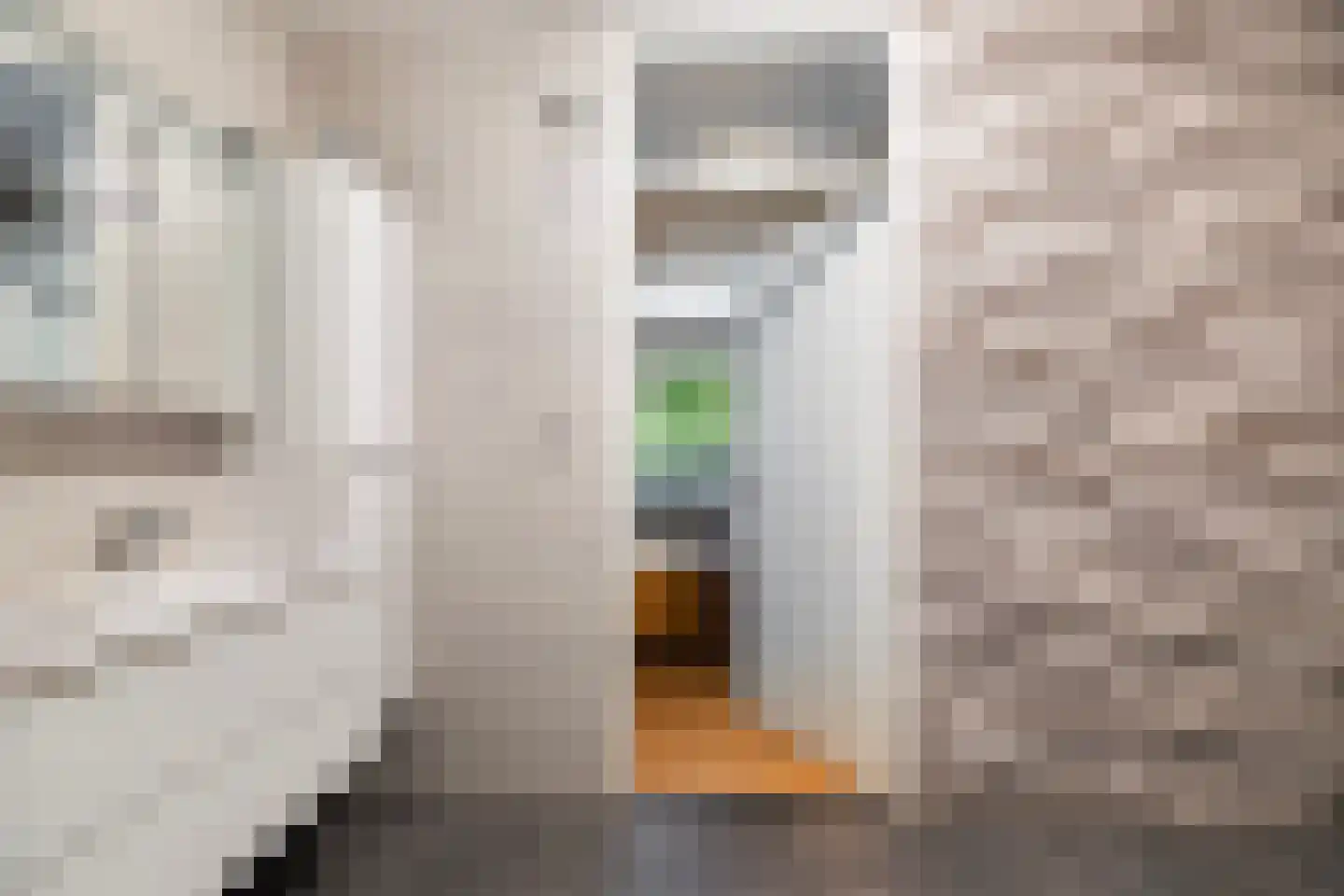 Laan van de Eekharst 42 Emmen thumbnail 52