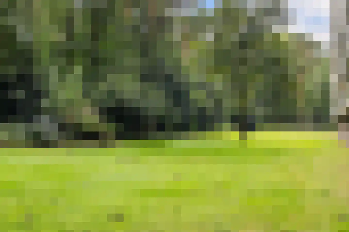 Laan van de Eekharst 42 Emmen thumbnail 58