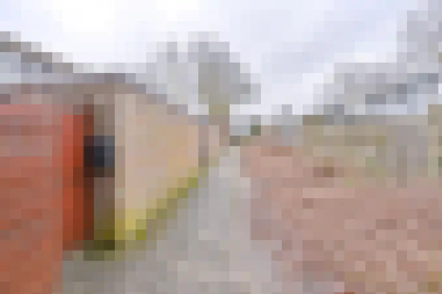 Laan van de Eekharst 449 Emmen thumbnail 12
