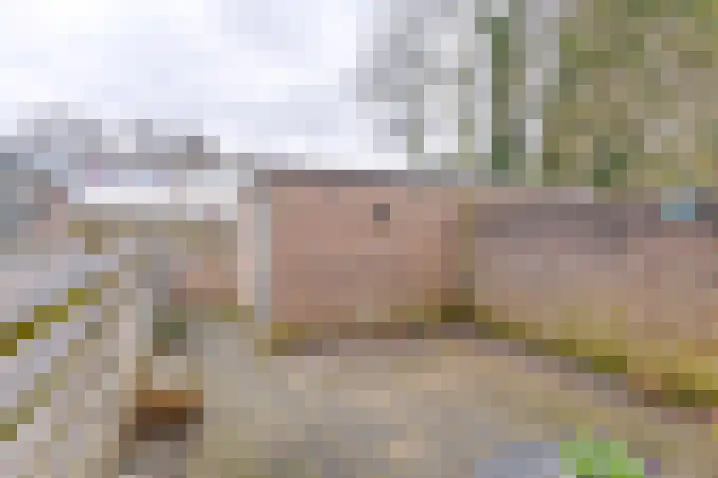 Laan van de Eekharst 449 Emmen thumbnail 15