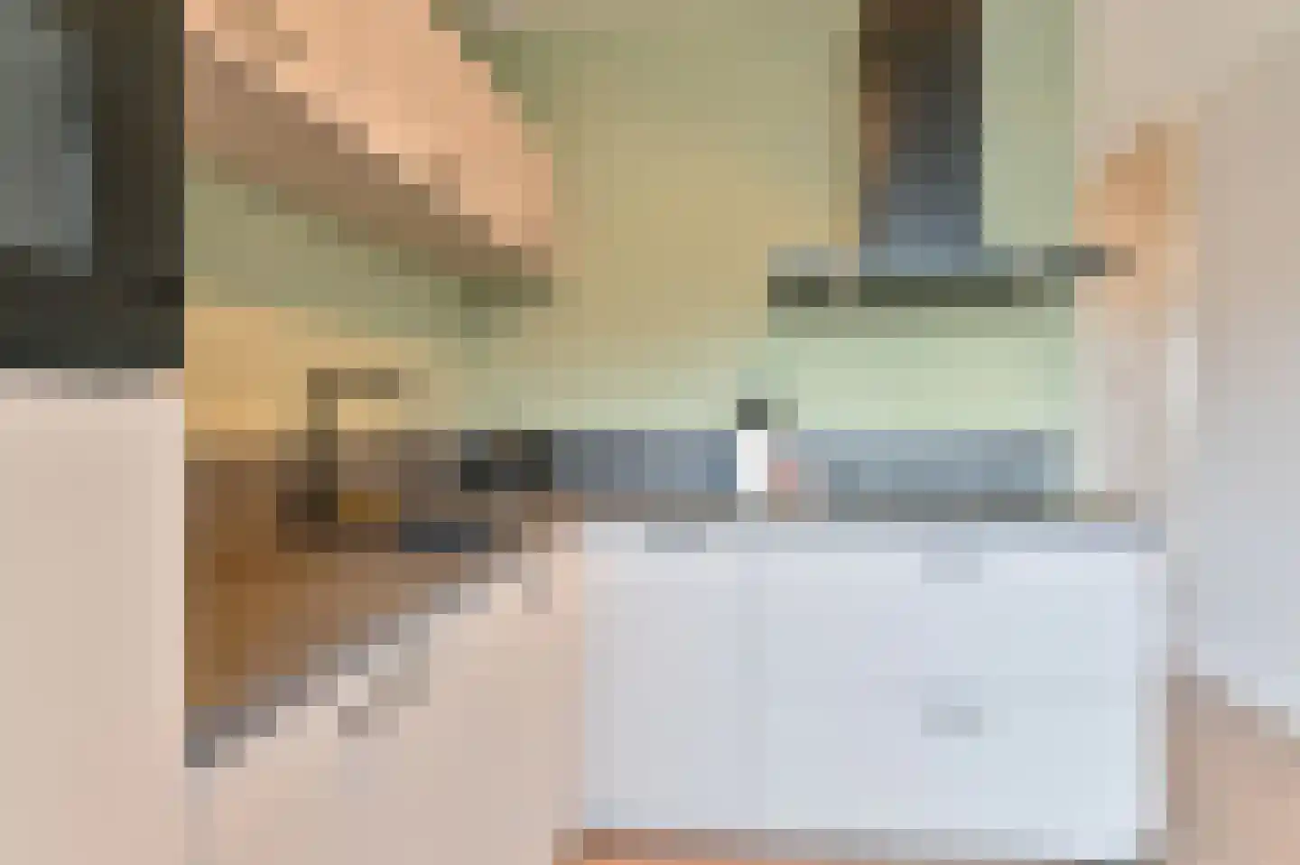 Laan van de Eekharst 449 Emmen thumbnail 34