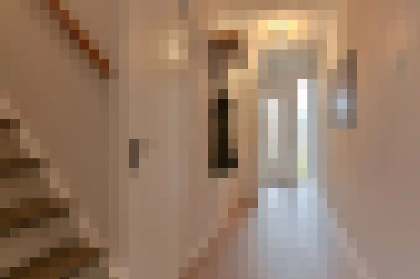 Laan van de Eekharst 449 Emmen thumbnail 35