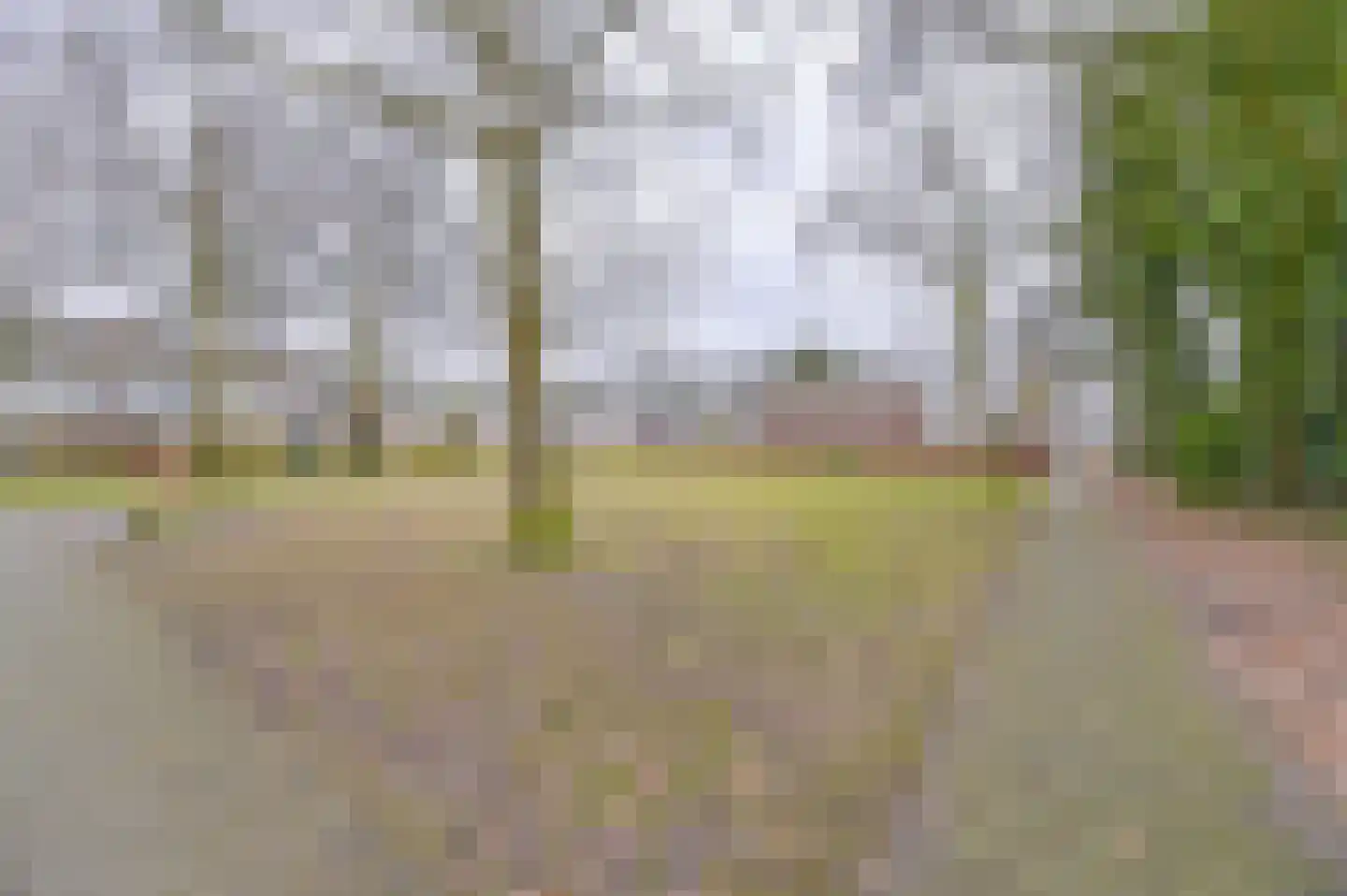 Laan van de Eekharst 449 Emmen thumbnail 4