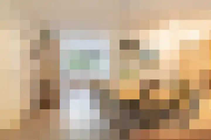 Laan van de Eekharst 6 Emmen thumbnail 11