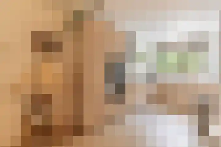 Laan van de Eekharst 6 Emmen thumbnail 13