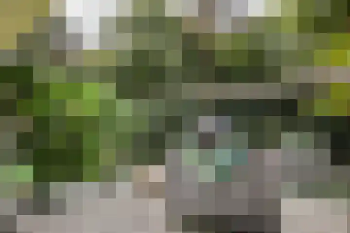 Laan van de Eekharst 6 Emmen thumbnail 27
