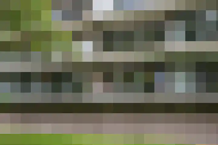 Laan van de Eekharst 6 Emmen thumbnail 34