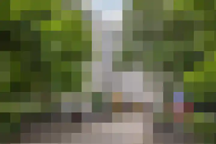 Laan van de Eekharst 6 Emmen thumbnail 44