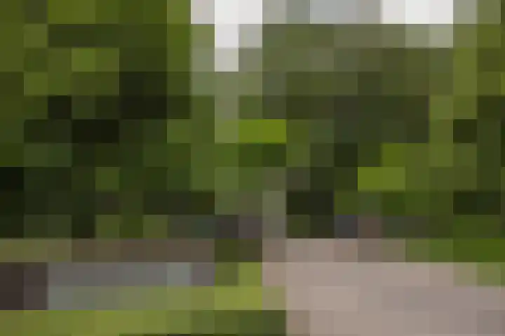 Laan van de Eekharst 6 Emmen thumbnail 46