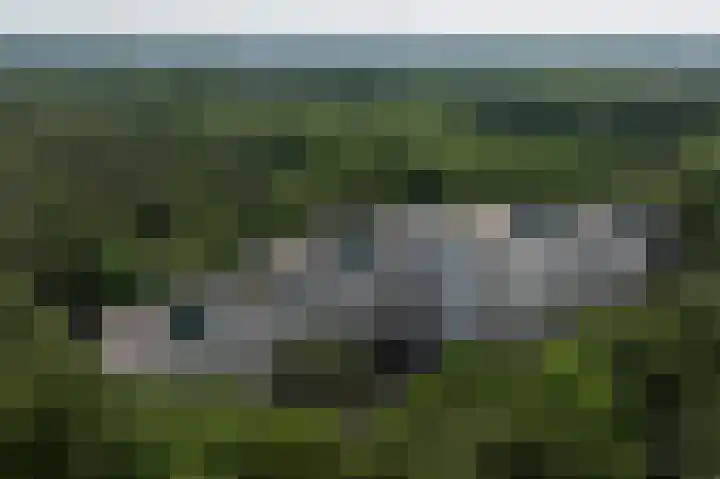 Laan van de Eekharst 6 Emmen thumbnail 55