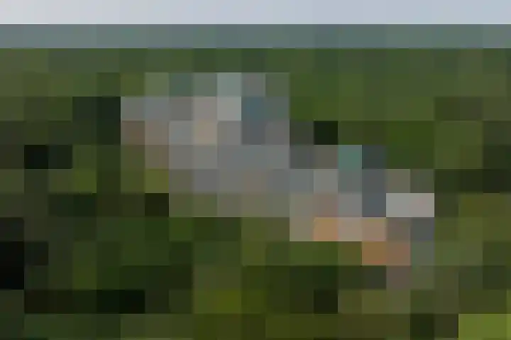 Laan van de Eekharst 6 Emmen thumbnail 60