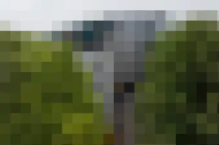 Laan van de Eekharst 6 Emmen thumbnail 61