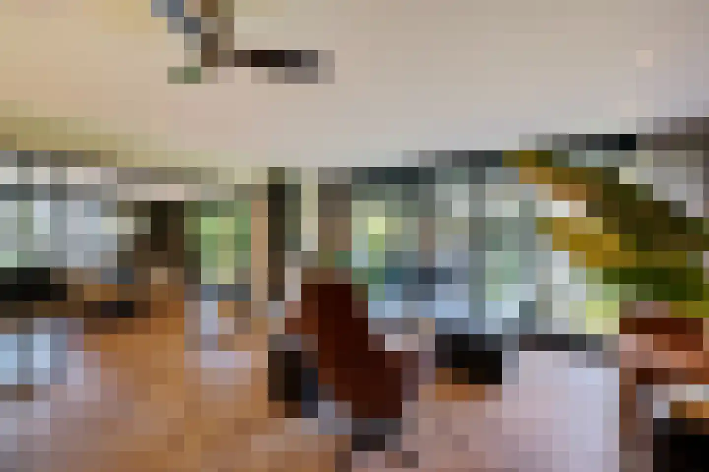 Laan van de Eekharst 78 Emmen thumbnail 12