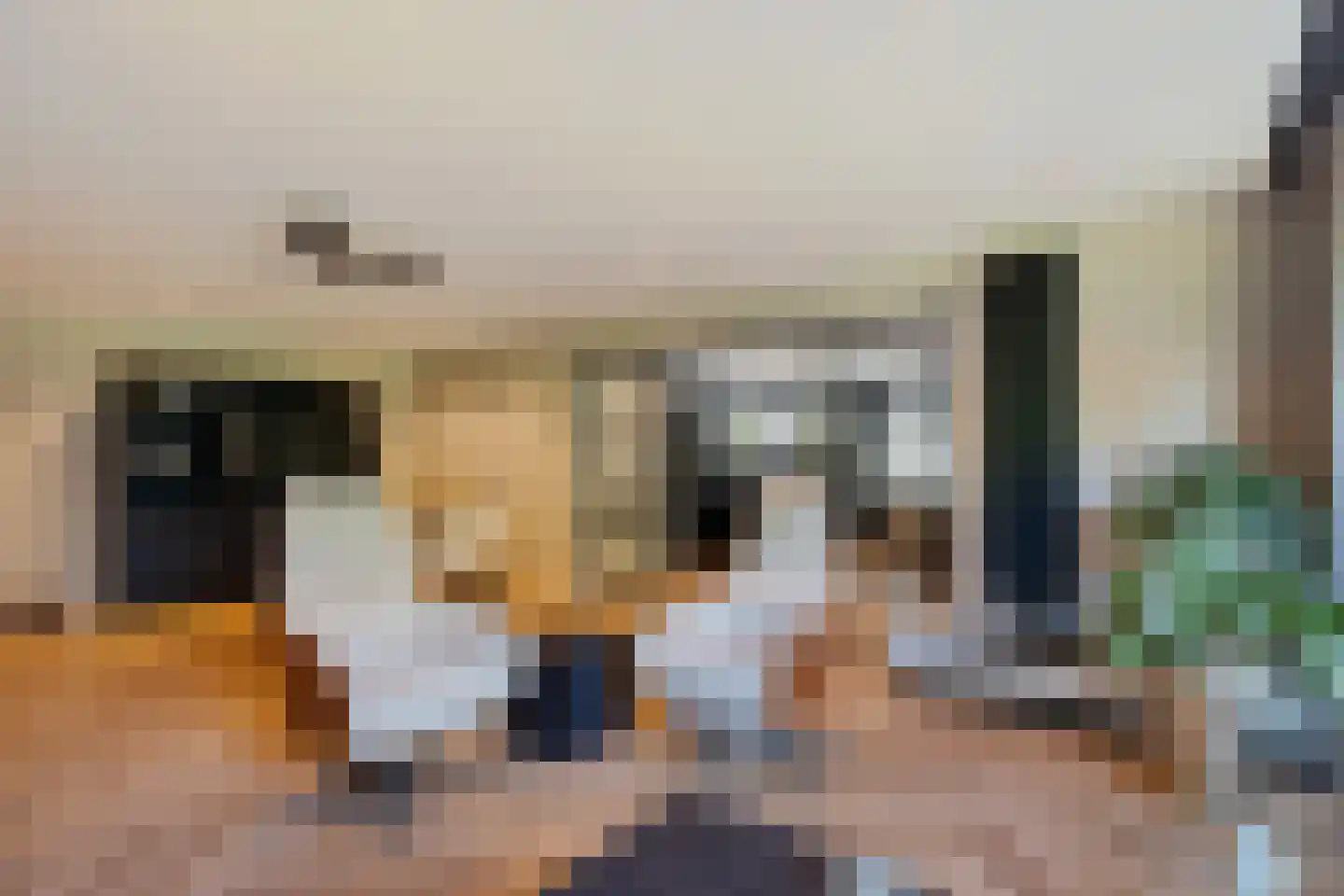 Laan van de Eekharst 78 Emmen thumbnail 13